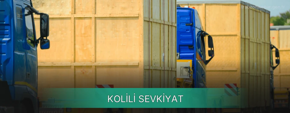 Trabzon Kolili Sevkiyat Ambar Firmaları Trabzon Kolili Sevkiyat Ambar Firmaları